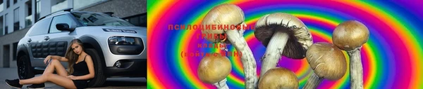 метамфетамин Алексеевка