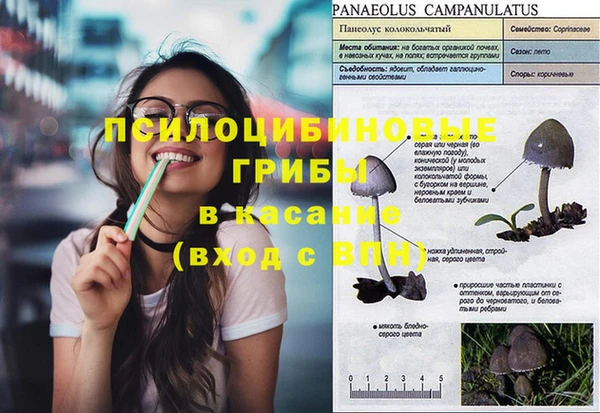 гидра Абинск
